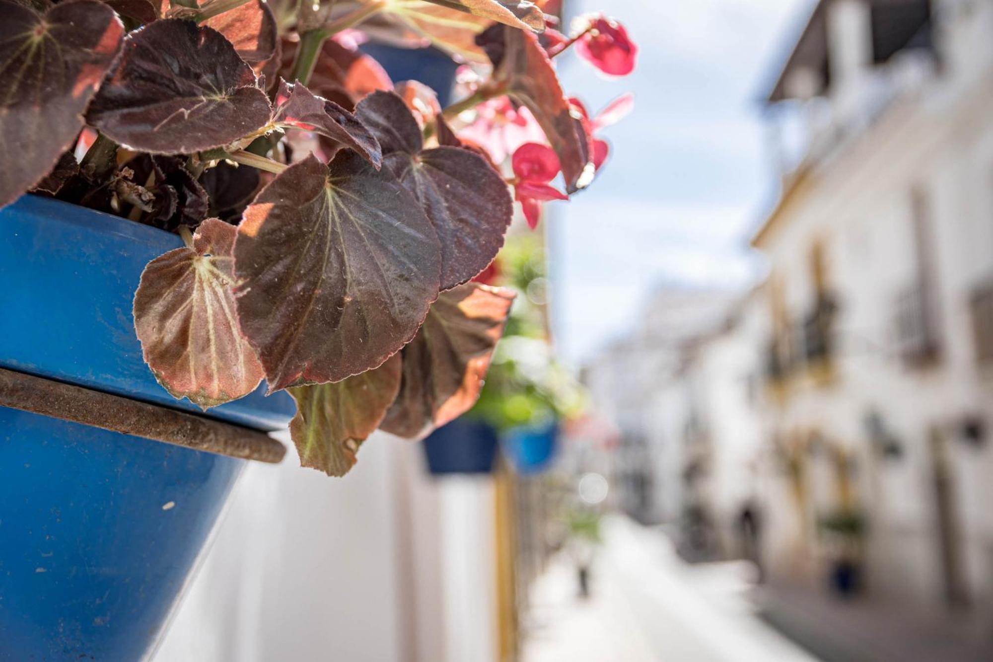 Seaclub Suites Estepona Eksteriør billede
